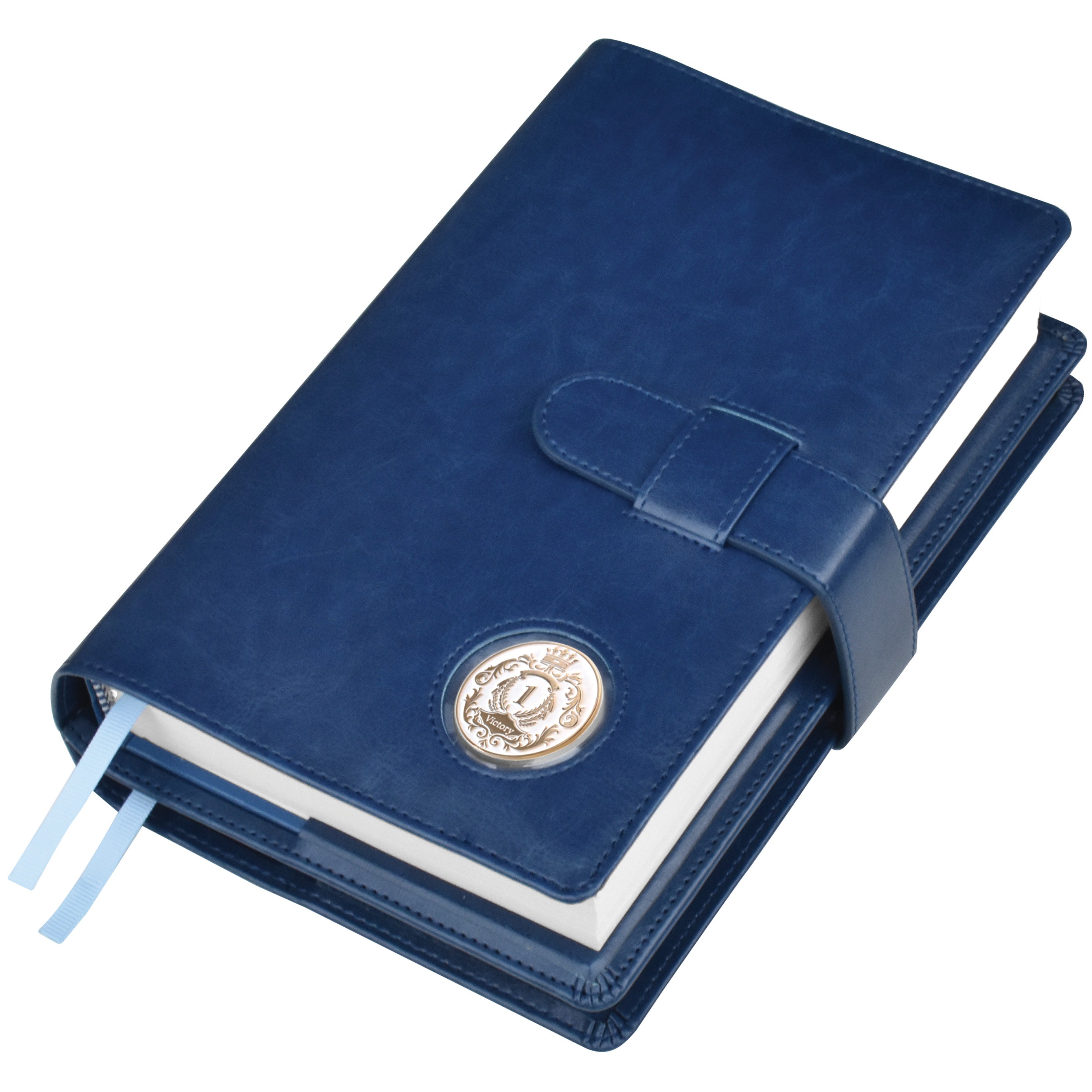 Double AA Big Book Cover & 12 Steps & 12 Traditions | Medallion