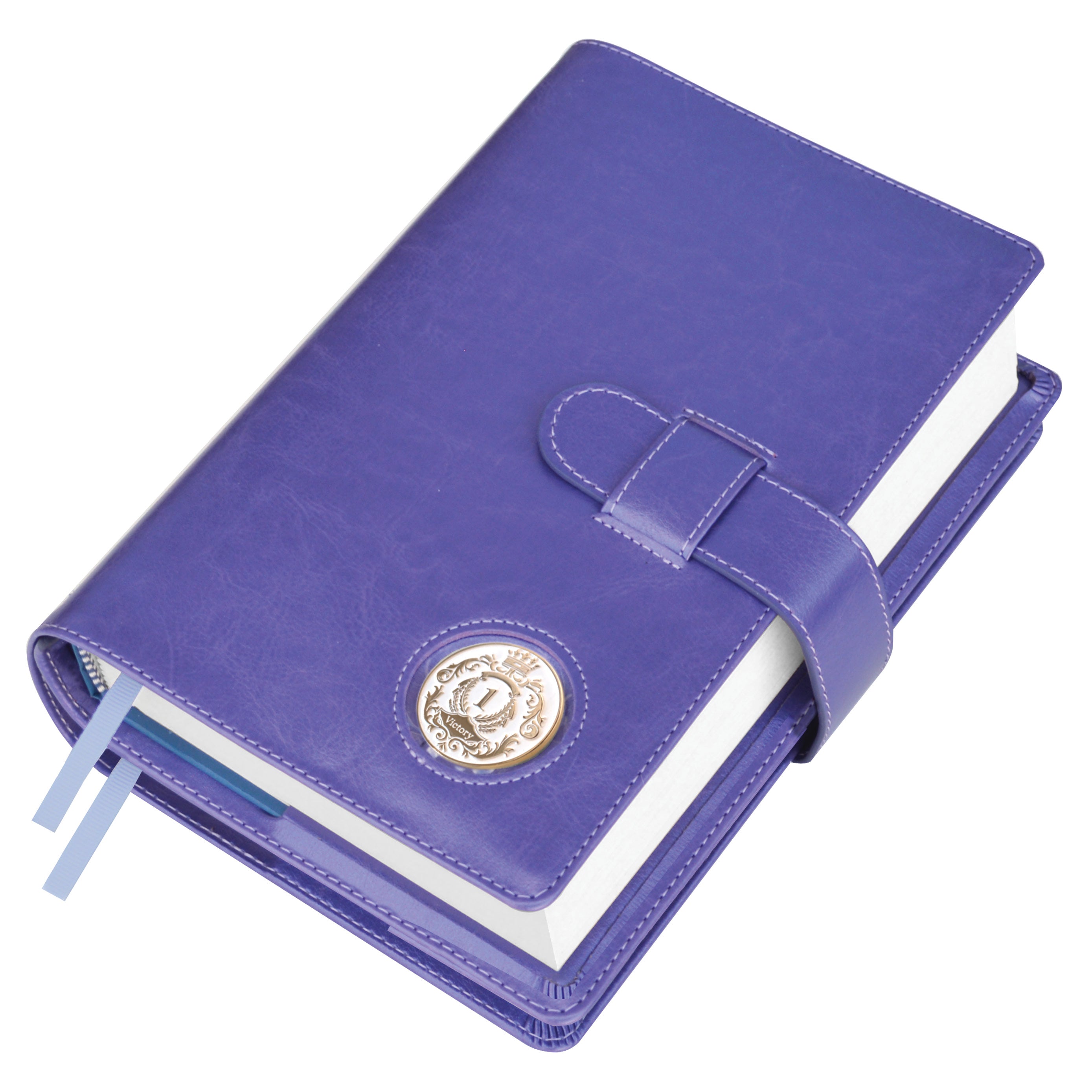 Double AA Big Book Cover & 12 Steps & 12 Traditions | Medallion
